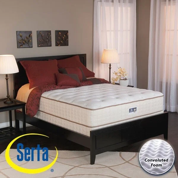 Serta Alleene Plush Twin-size Mattress and Box Spring Set