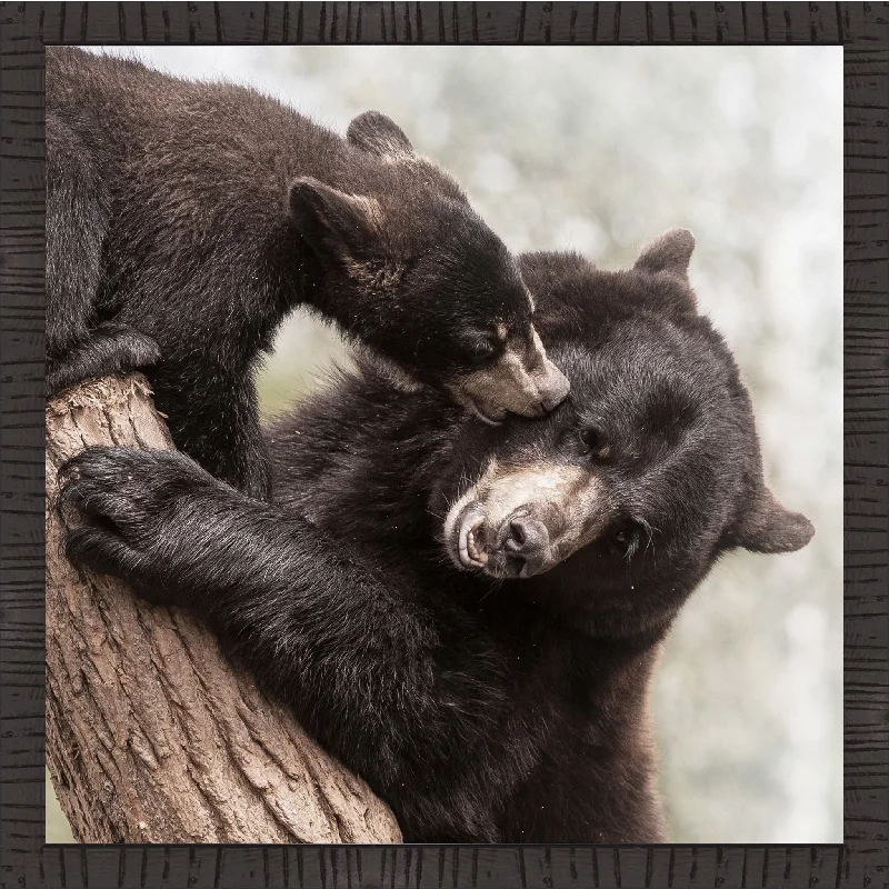 Bear & Cub Wall Art 19.50" x 19.50"