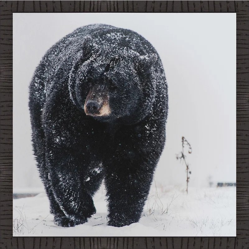 Black Bear Wall Art 19.50" x 19.50"