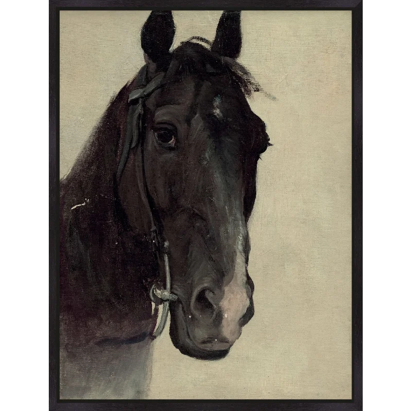 Black Horse Wall Art 32.00" x 42.00"