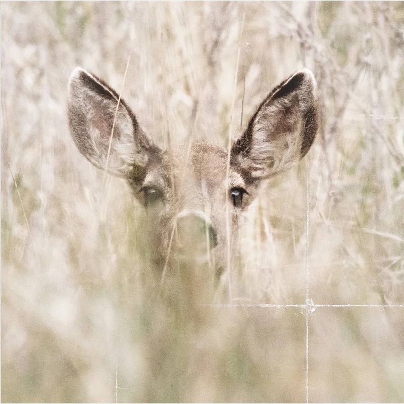 Deer Head Wall Art 11.00" x 11.00"